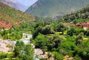 Z Marrakeszu: Wycieczka w góry Atlas i dolinę Ourika