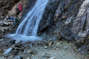 De Marrakech: Excursão às montanhas do Atlas e ao vale de Ourika