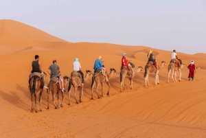 From Marrakech: Atlas Mountains and Sahara Desert 4-Day Tour
