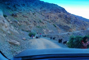 From Marrakech: Atlas Mountains and Three Valleys Day Trip