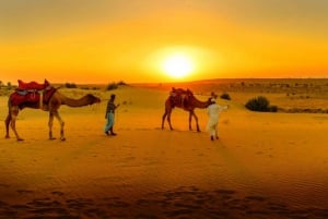 Au départ de Marrakech : Excursion d'une journée dans les montagnes de l'Atlas et les trois vallées