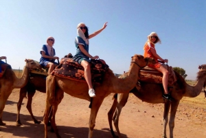 Från Marrakech: Dagsutflykt till Atlasbergen och de tre dalarna