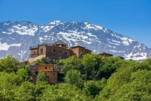 From Marrakech: Atlas Mountains Day Trip with Camel Ride