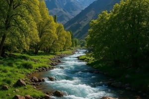 Au départ de Marrakech : Excursion d'une journée dans les montagnes de l'Atlas avec promenade à dos de chameau