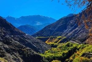 Au départ de Marrakech : Excursion d'une journée dans les montagnes de l'Atlas avec promenade à dos de chameau