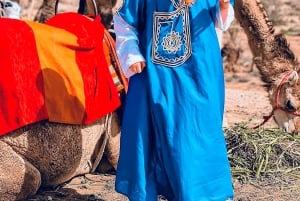 Au départ de Marrakech : Excursion d'une journée dans les montagnes de l'Atlas avec promenade à dos de chameau
