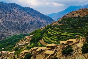 Au départ de Marrakech : Excursion d'une journée dans les montagnes de l'Atlas avec promenade à dos de chameau