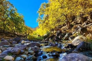 Au départ de Marrakech : Excursion d'une journée dans les montagnes de l'Atlas avec promenade à dos de chameau