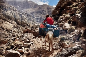 Au départ de Marrakech : Excursion d'une journée dans les montagnes de l'Atlas avec promenade à dos de chameau