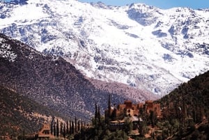 Au départ de Marrakech : Excursion d'une journée dans les montagnes de l'Atlas avec promenade à dos de chameau
