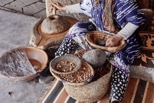 Au départ de Marrakech : Excursion d'une journée dans les montagnes de l'Atlas avec promenade à dos de chameau