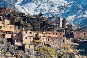 Au départ de Marrakech : Excursion d'une journée dans les montagnes de l'Atlas avec promenade à dos de chameau