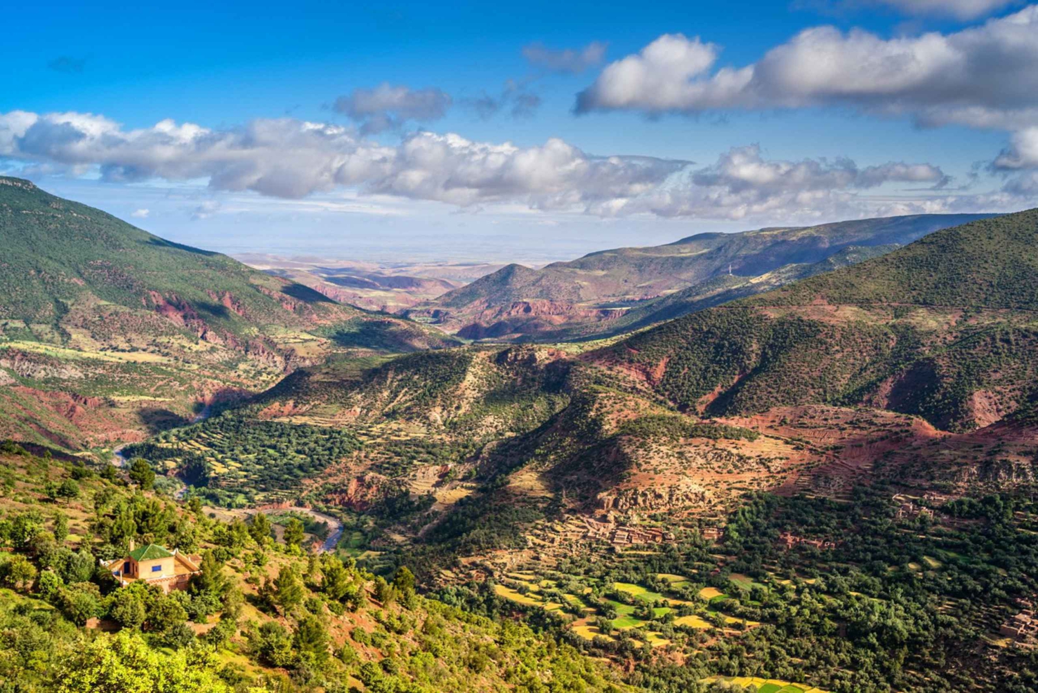 Au départ de Marrakech : randonnée d'une journée dans les montagnes de l'Atlas avec déjeuner