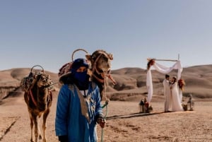 Au départ de Marrakech : randonnée d'une journée dans les montagnes de l'Atlas avec déjeuner