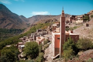Au départ de Marrakech : randonnée d'une journée dans les montagnes de l'Atlas avec déjeuner