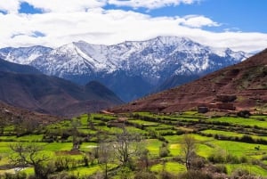 Au départ de Marrakech : randonnée d'une journée dans les montagnes de l'Atlas avec déjeuner