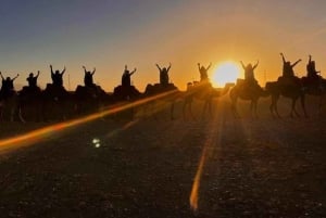 Au départ de Marrakech : randonnée d'une journée dans les montagnes de l'Atlas avec déjeuner