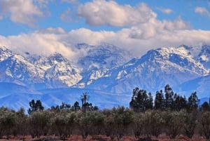 Au départ de Marrakech : randonnée d'une journée dans les montagnes de l'Atlas avec déjeuner
