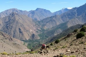 Au départ de Marrakech : randonnée d'une journée dans les montagnes de l'Atlas avec déjeuner