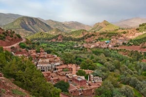 Au départ de Marrakech : randonnée d'une journée dans les montagnes de l'Atlas avec déjeuner