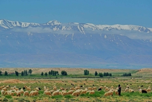 From Marrakech: Atlas Mountains Full-Day Hiking Trip