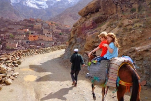 Da Marrakech: Tour Zip Line delle Montagne dell'Atlante con colazione