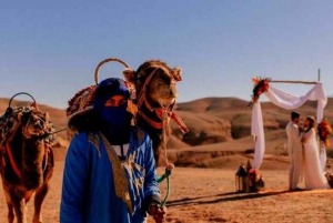 Fra Marrakech: Zip Line-tur i Atlasbjergene med morgenmad