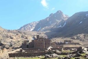 Z Marrakeszu: Góry Atlas 1-dniowa wycieczka piesza