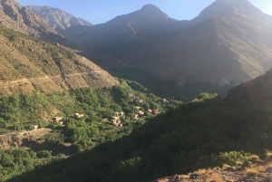Da Marrakech: Escursione di un giorno sulle montagne dell'Atlante