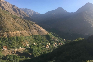 Au départ de Marrakech : Excursion d'une journée dans les montagnes de l'Atlas