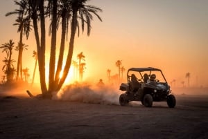 From Marrakech : Buggy Ride in the Palm Groves