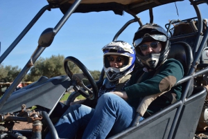 From Marrakech : Buggy Ride in the Palm Groves