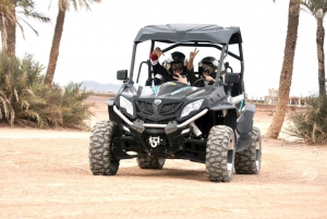 From Marrakech : Buggy Ride in the Palm Groves