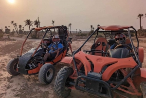 From Marrakech : Buggy Ride in the Palm Groves