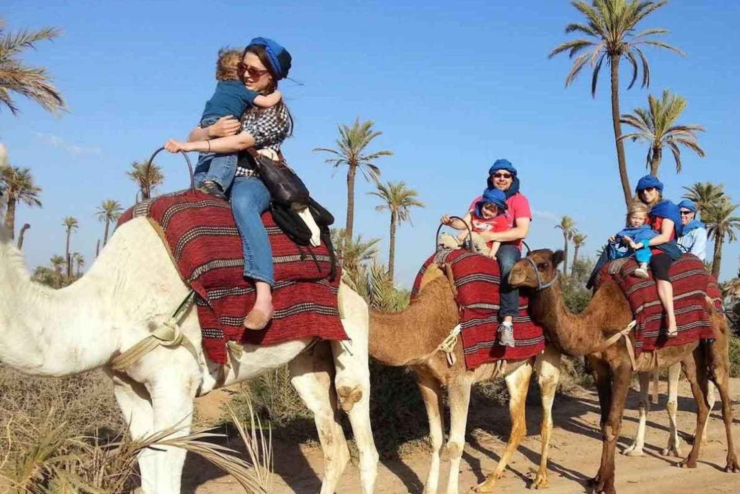 From Marrakech: Camel Ride in the Palm Grove