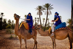 From Marrakech: Camel Ride in the Palm Grove