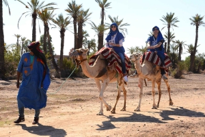 From Marrakech: Camel Ride in the Palm Grove
