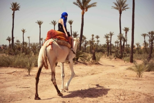 From Marrakech: Camel Ride in the Palm Grove
