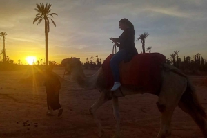 From Marrakech: Camel Ride in the Palm Grove