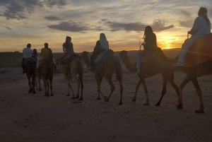From Marrakech: Camel Ride in the Palm Grove