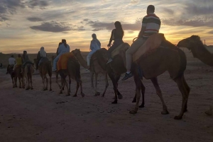 From Marrakech: Camel Ride in the Palm Grove