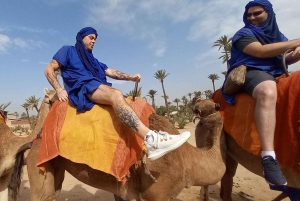 From Marrakech: Camel Ride in the Palm Grove