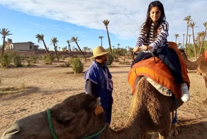 From Marrakech: Camel Ride in the Palm Grove