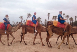 De Marrakech: Passeio de Camelo, Quadriciclo e Spa - Dia Inteiro