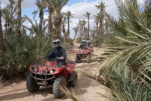 Au départ de Marrakech : Excursion d'une journée à dos de chameau, quad et spa
