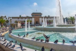 A partir de Marraquexe: Excursão de um dia a Casablanca e visita à mesquita Hassan II