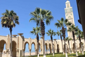 From Marrakech: Casablanca Day Tour