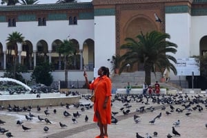 From Marrakech: Casablanca Day Tour