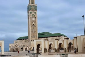 From Marrakech: Casablanca Day Tour