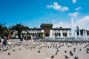 Vanuit Marrakech: Casablanca dagtrip beleven '